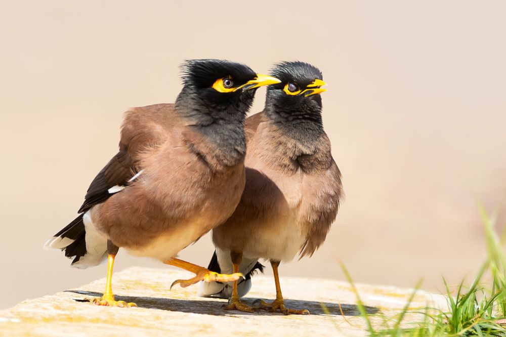 Photograph by David Lerer