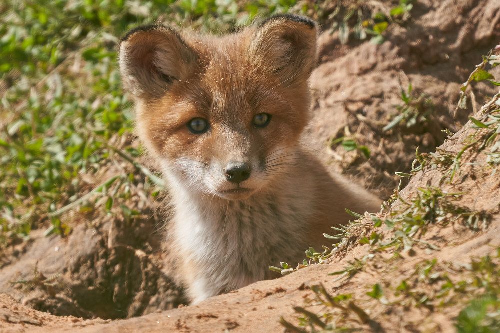 Photograph by Victor Krachkovsky