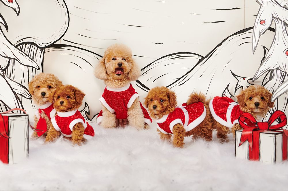 Фотография автора Mino Swayne