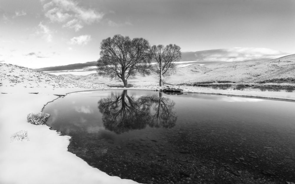 Фотография автора majid arab