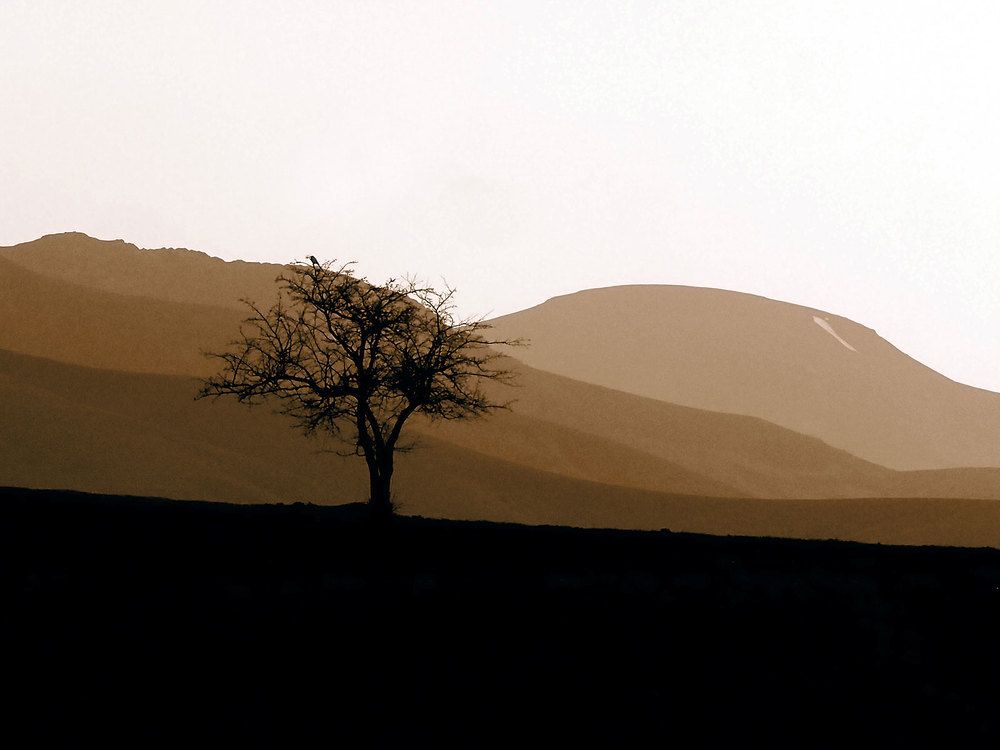 Photograph by Farid Ataei