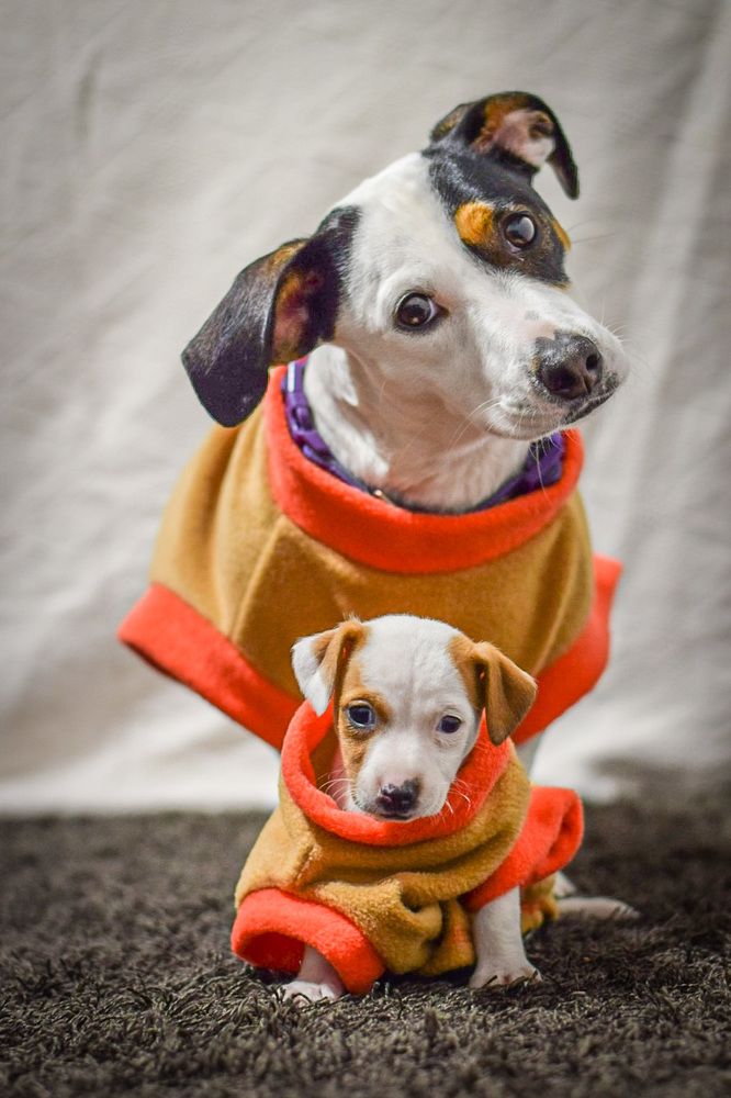 Фотография автора Mino Swayne