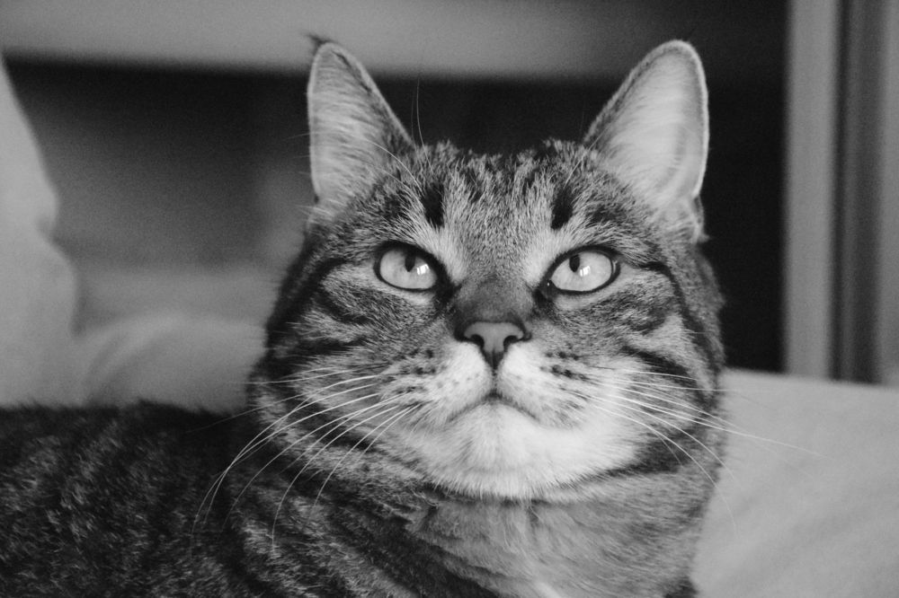 Photograph by Natalia Persidskaia