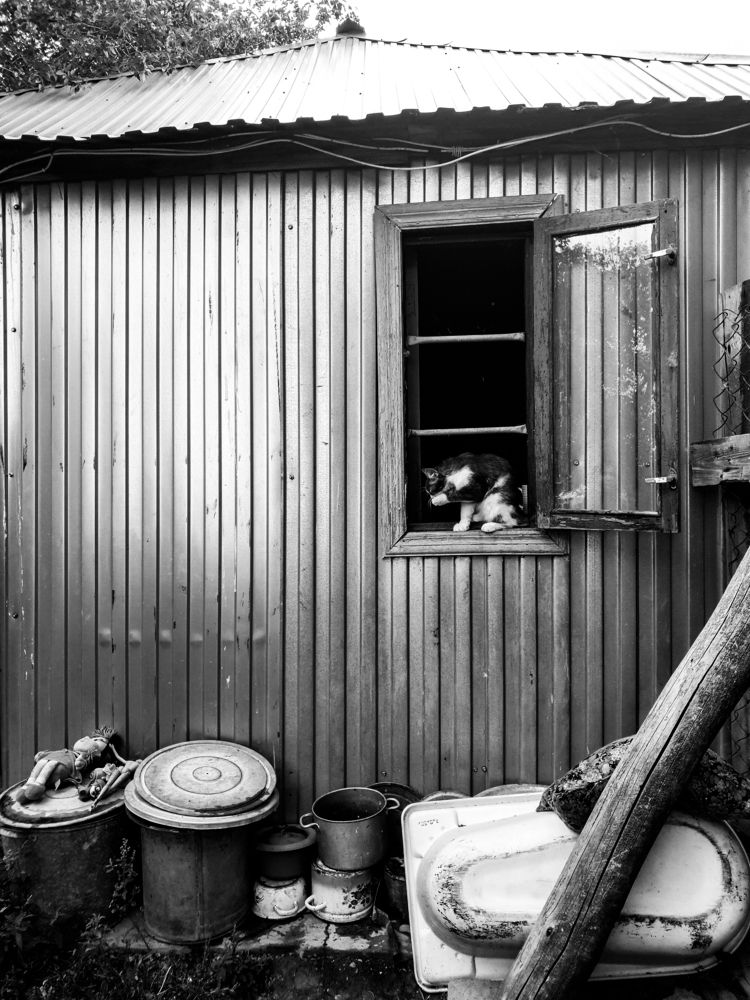 Photograph by Буданова Мария