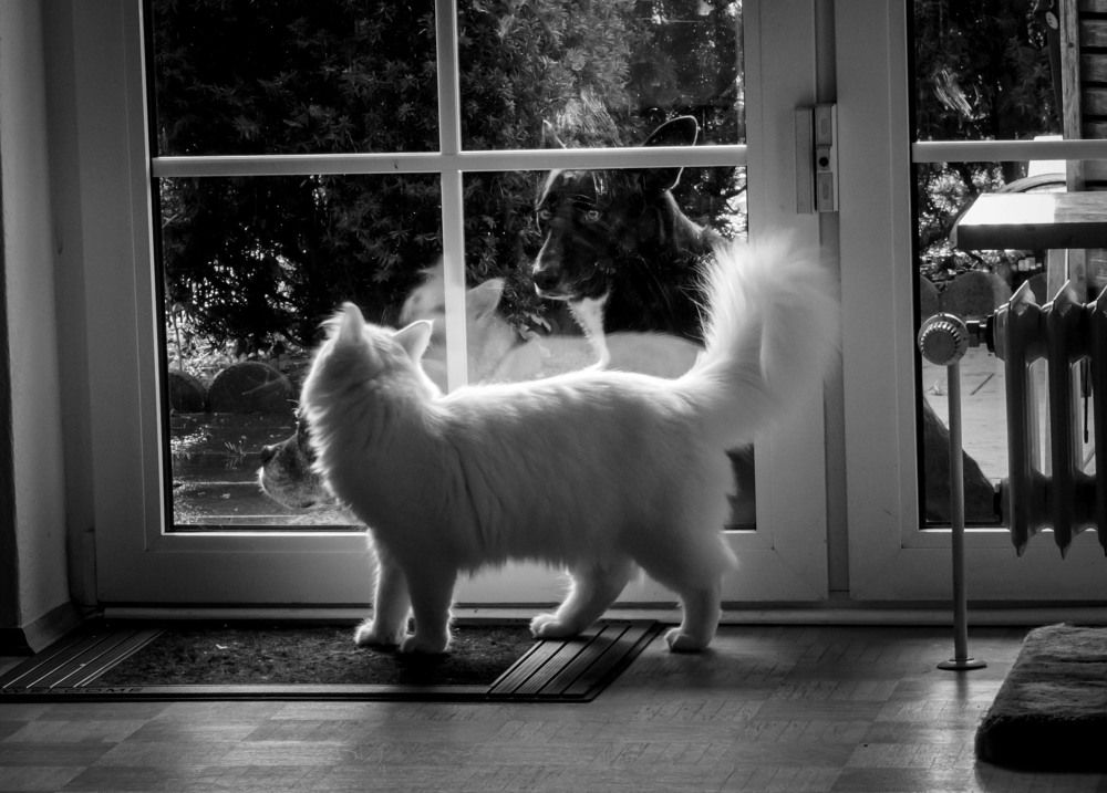 Photograph by Ирина Федорова