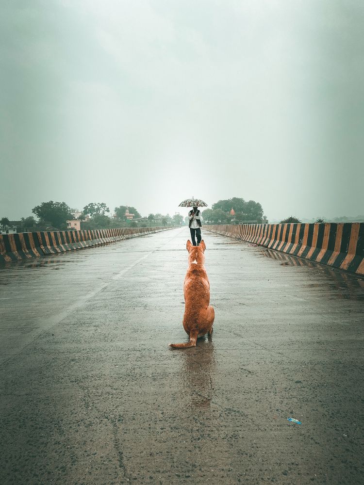 Photograph by Ashwani Thurwal