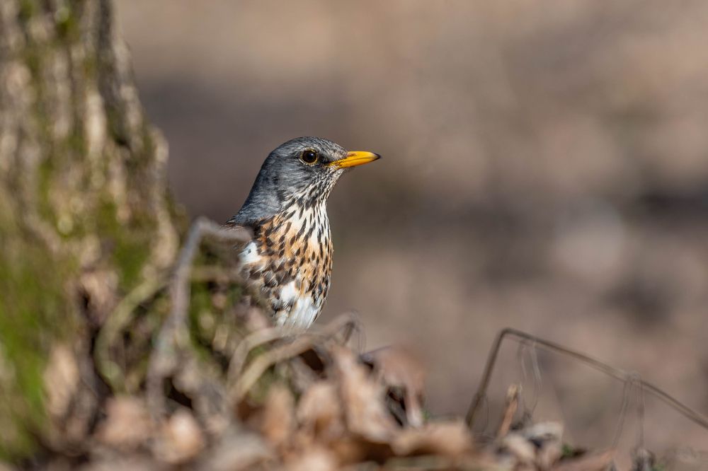 Photograph by Евгений