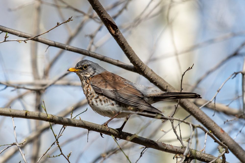 Photograph by Евгений