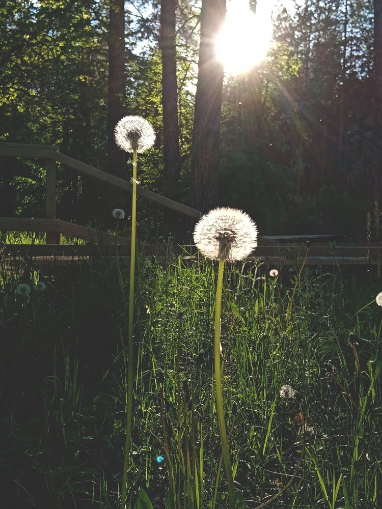 Photograph by Дарья Алексеева