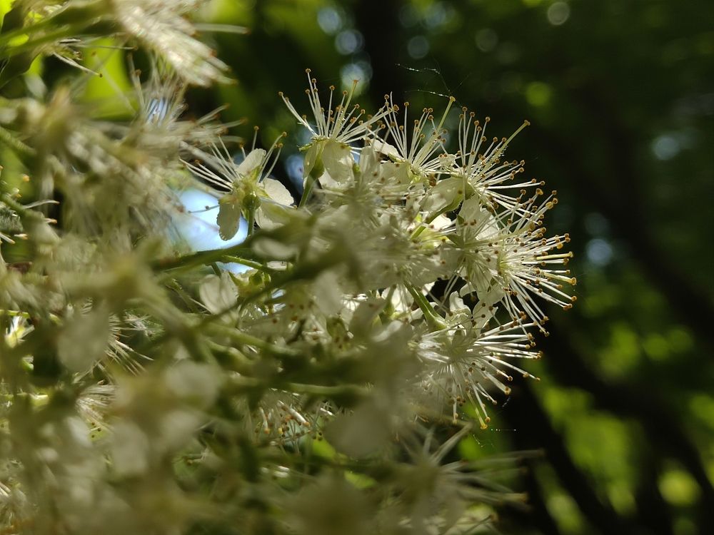 Photograph by Андрей Головин