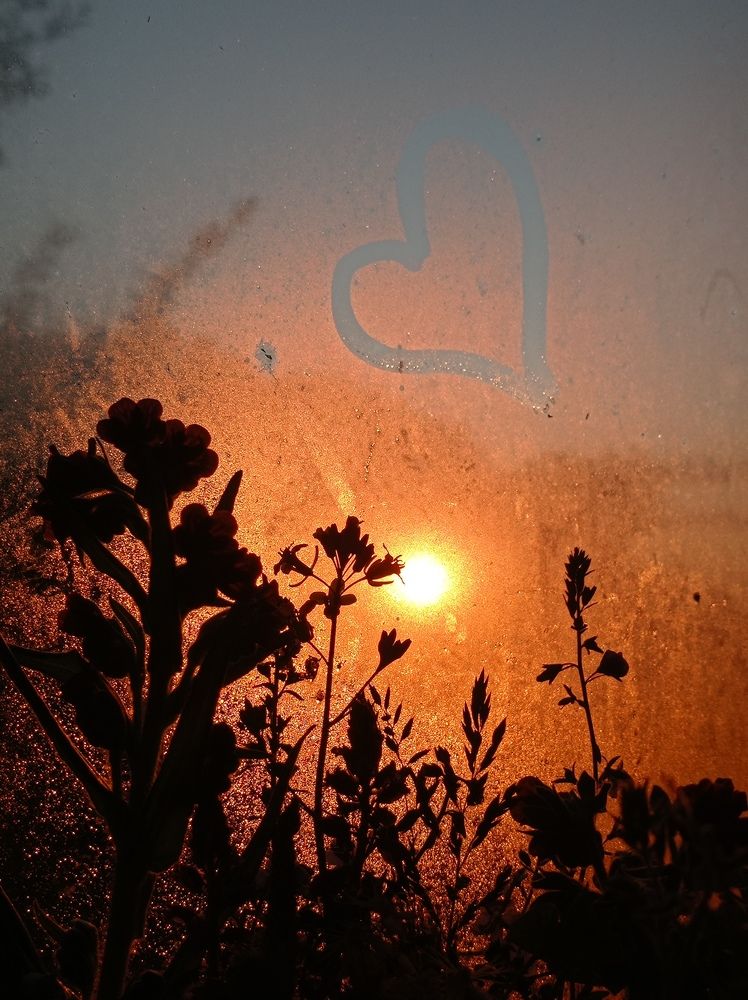 Photograph by Яна Левченко