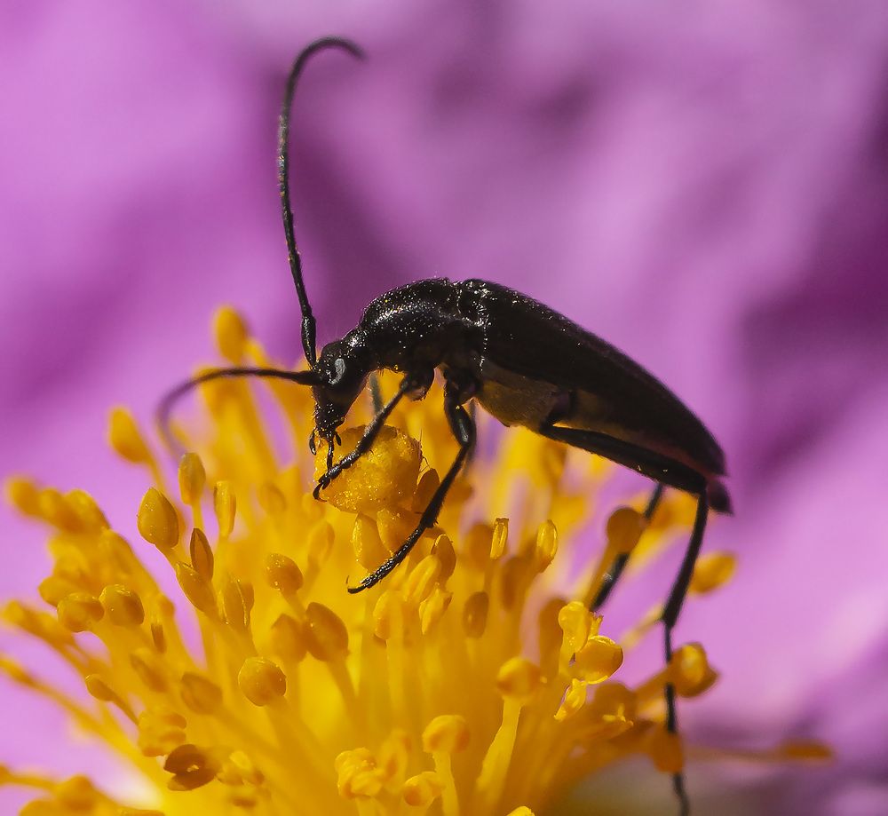 Photograph by Борис Саватюгин