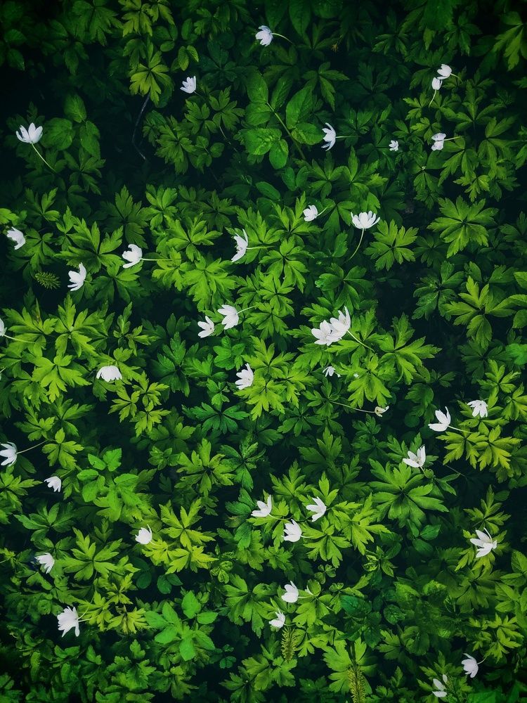 Photograph by Андрей Пятин