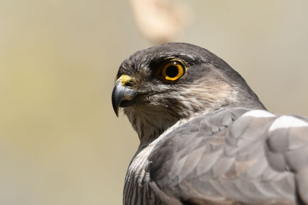 Photograph by Виталий Попов