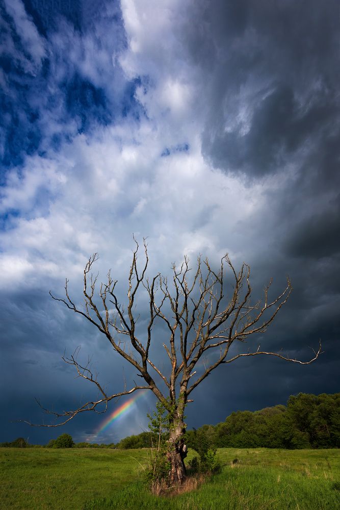 Photograph by Павел Абакумов