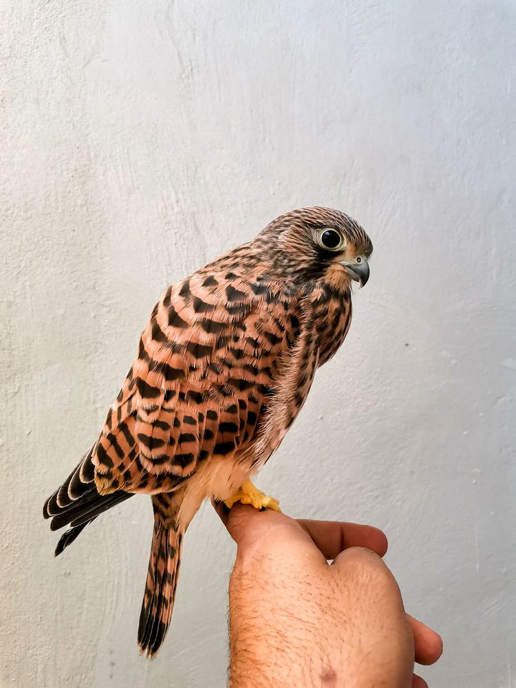 Фотография автора Mohamad reza Mohamad abadi