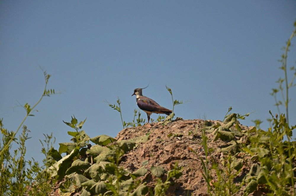 Photograph by Ольга Шевцова