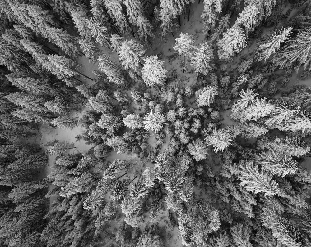 Photograph by Demir Pepic