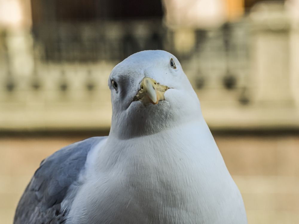 Photograph by Шутов Владимир
