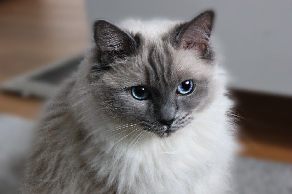 Photograph by Lena Feldman