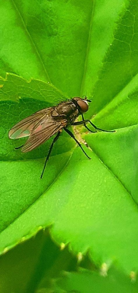 Photograph by Евгения Ульянова