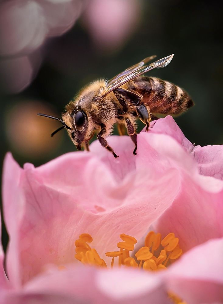 Photograph by Марина Сидоренко