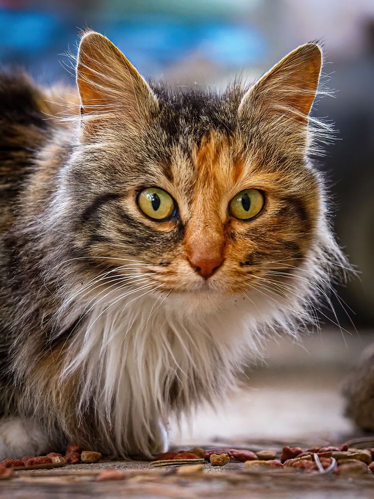 Photograph by Слави Котаров