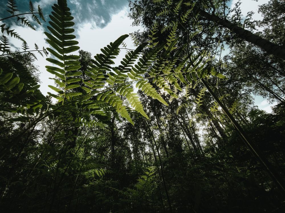 Photograph by Влад Богаткин