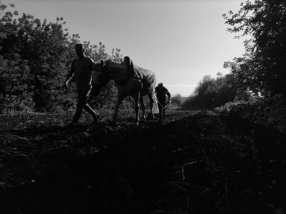 Photograph by Анна