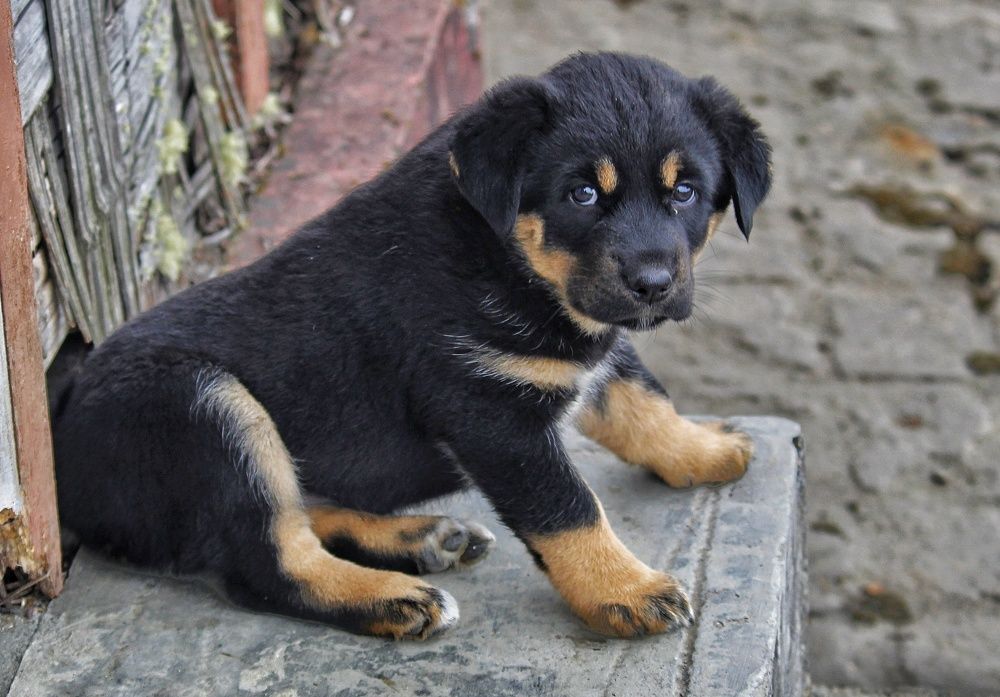 Photograph by Anand Targain