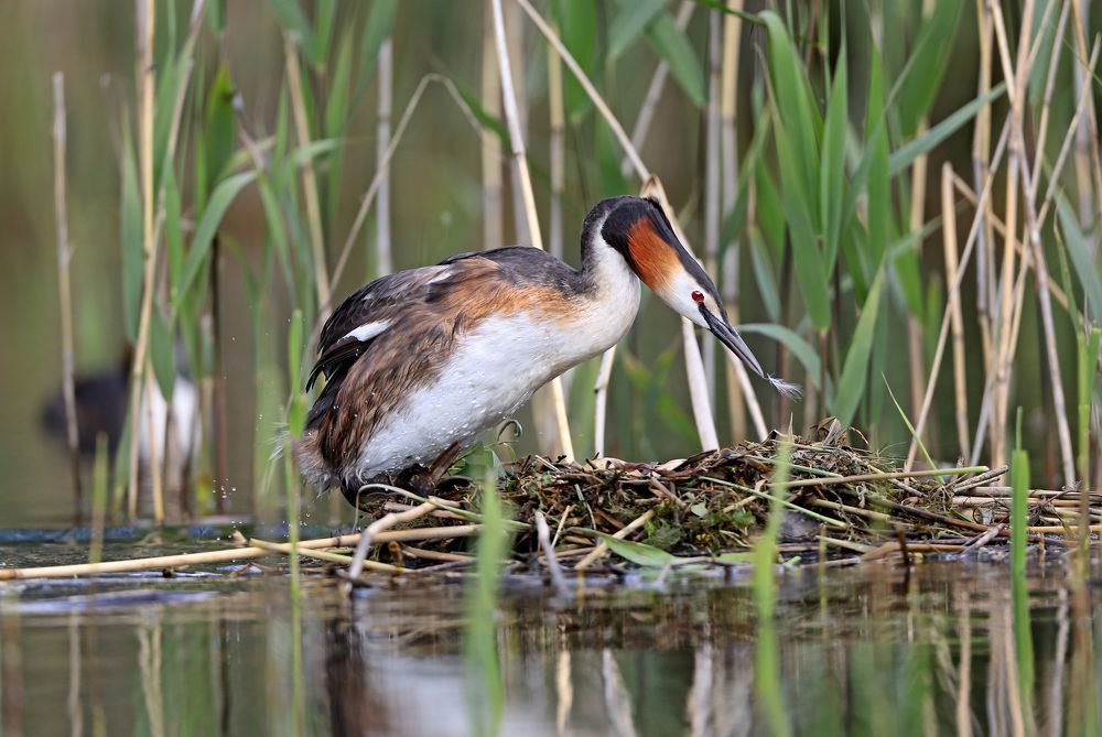 Фотография автора Александр Гусар
