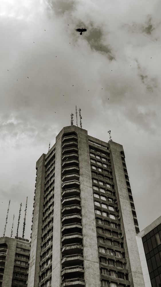 Photograph by Matin Ahmadi