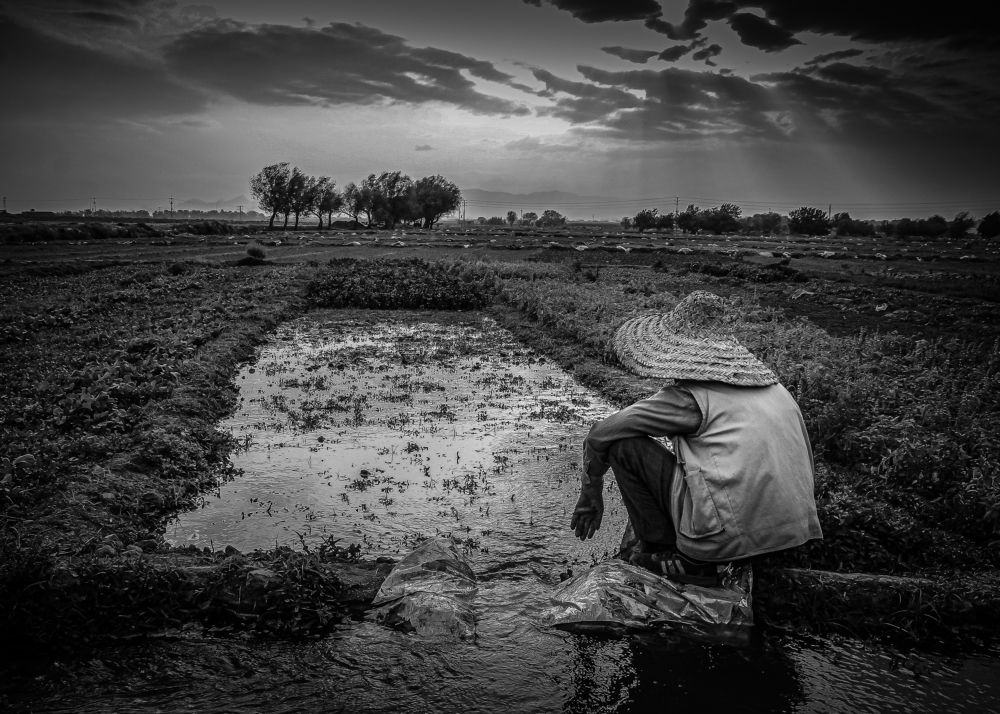 Фотография автора Elyas Iranmanesh