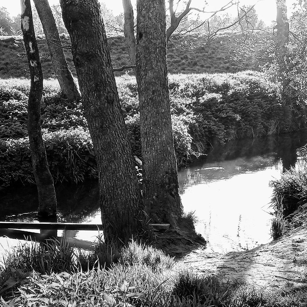 Photograph by Александр Alexander Zheleztsov