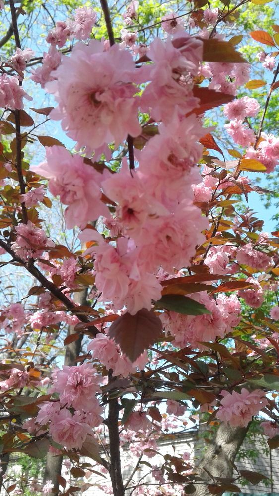 Photograph by Юлия Лихачева