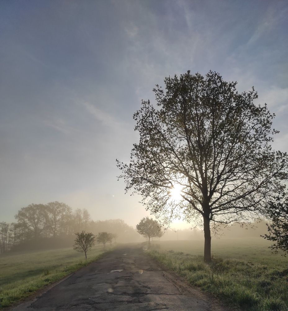 Photograph by Мария