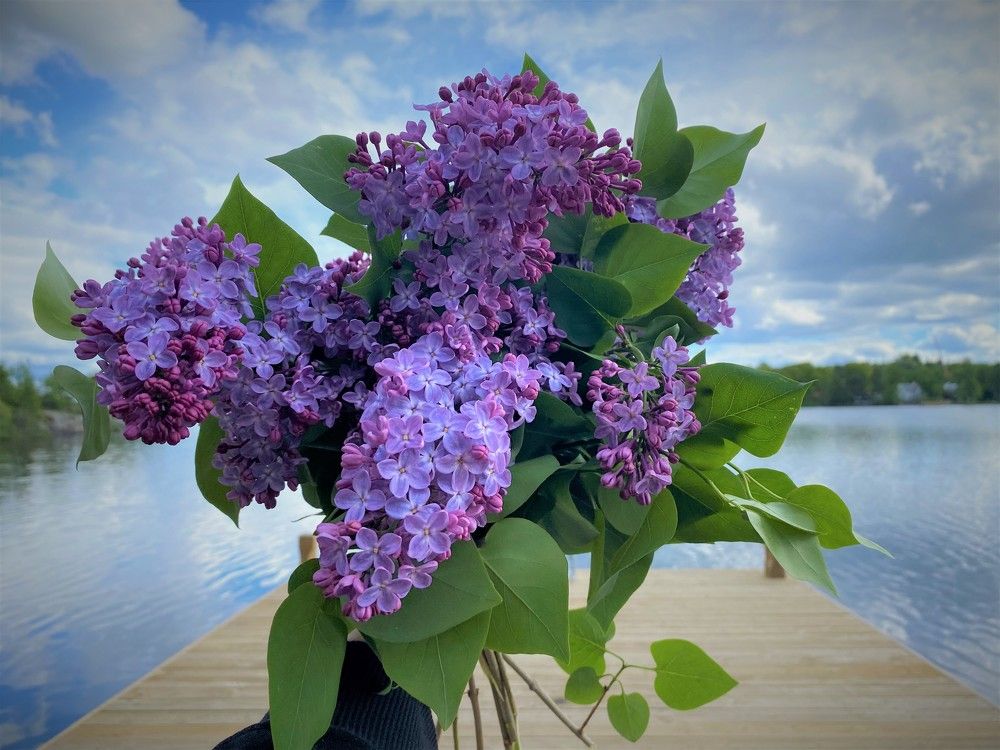 Photograph by Lena Feldman