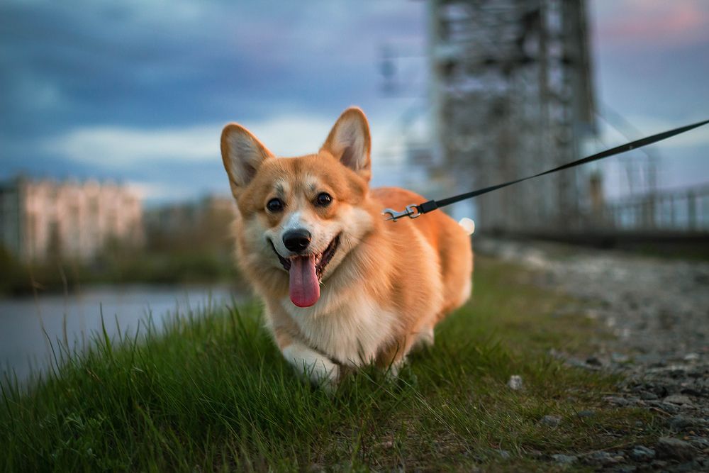 Photograph by Ol Ger