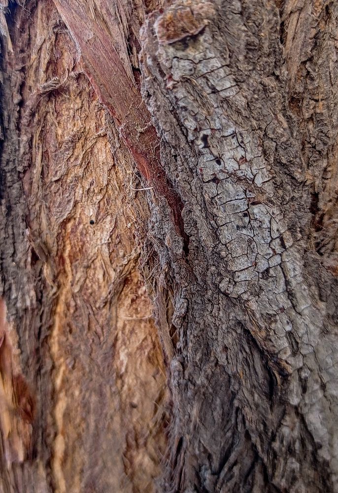 Photograph by Amal k Al Beqai