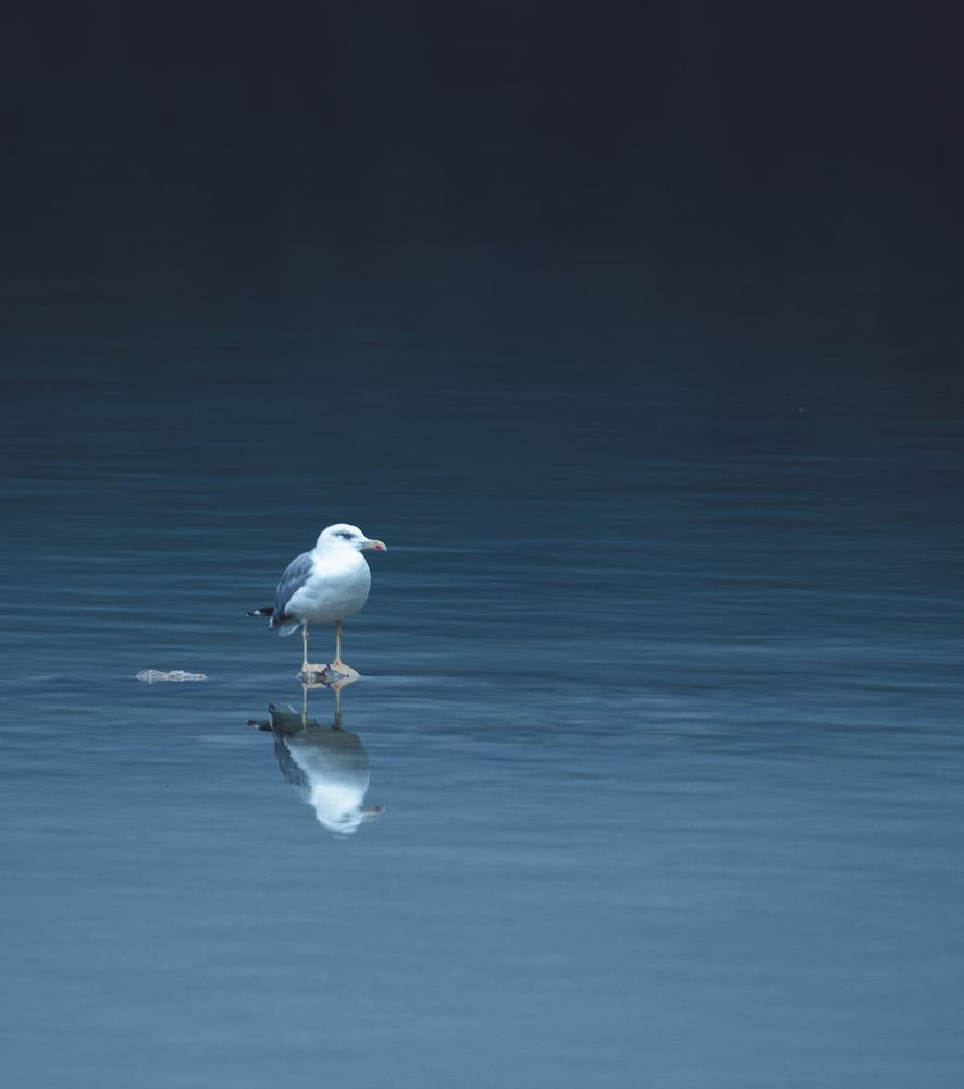 Photograph by Fahrudin Seferagić