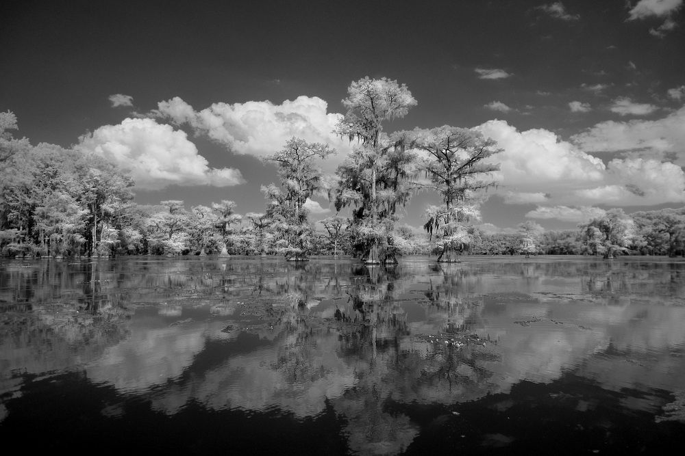 Photograph by Dmitry Samoylin