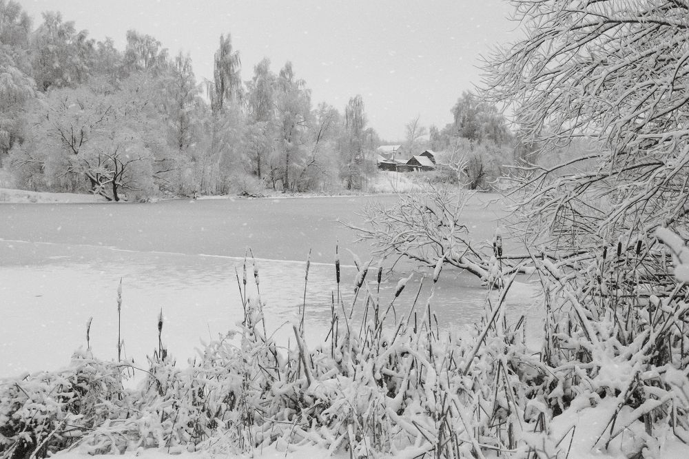 Photograph by Svetlana Karnauh Карнаух