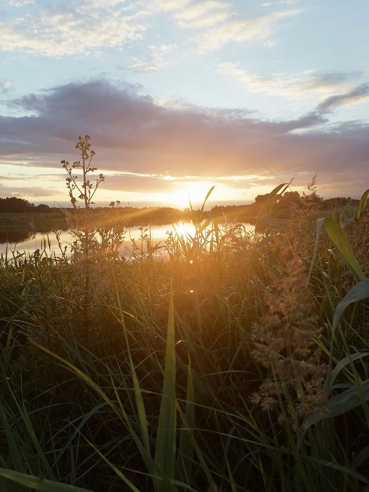 Photograph by Екатерина