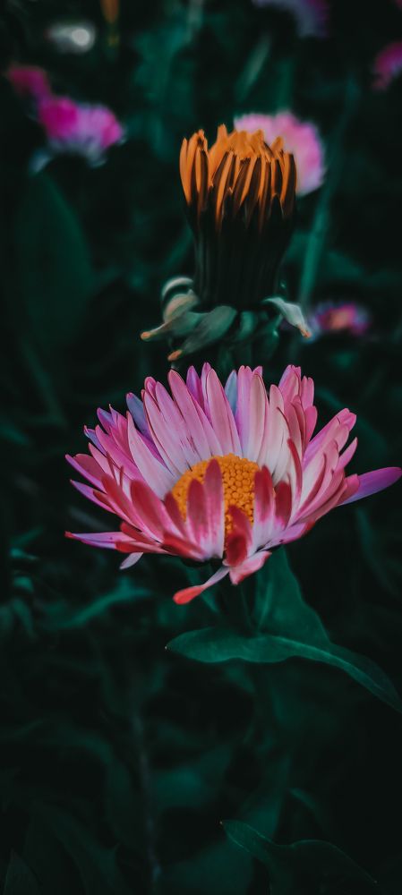 Photograph by Екатерина Фетисова