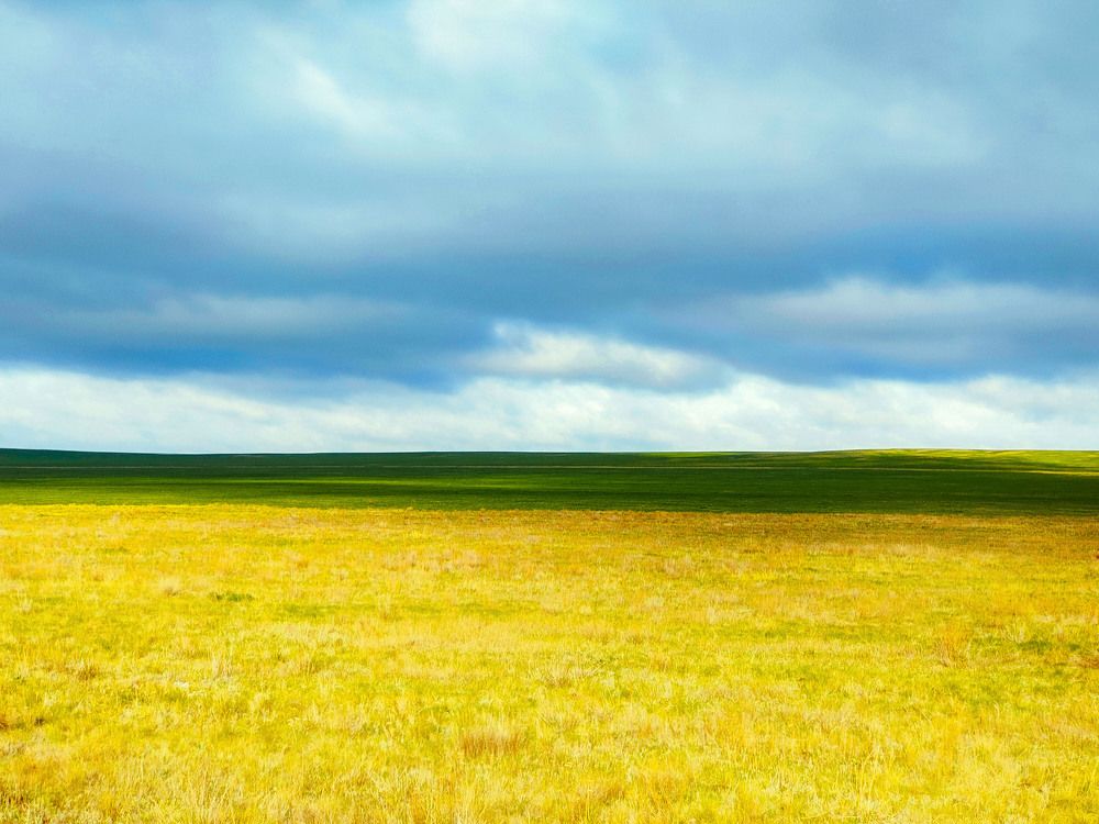 Photograph by Алексей Гнедовский