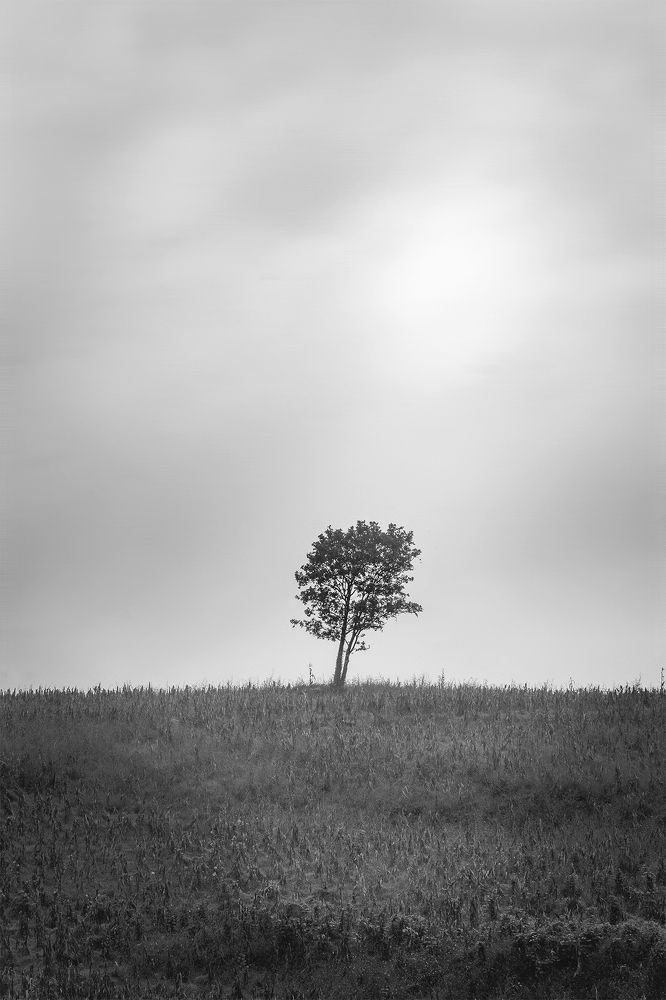 Photograph by Alfredo Jiménez Velázquez