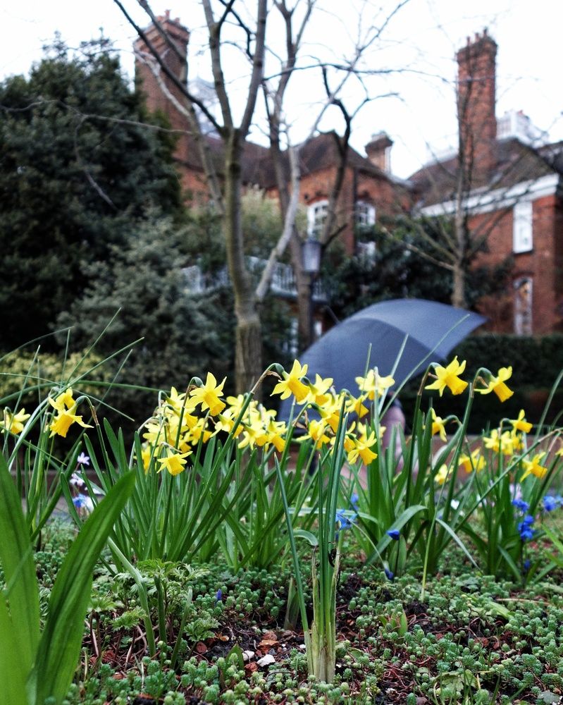 Photograph by Василий Селиванов