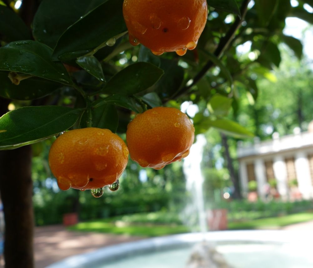 Photograph by Василий Селиванов