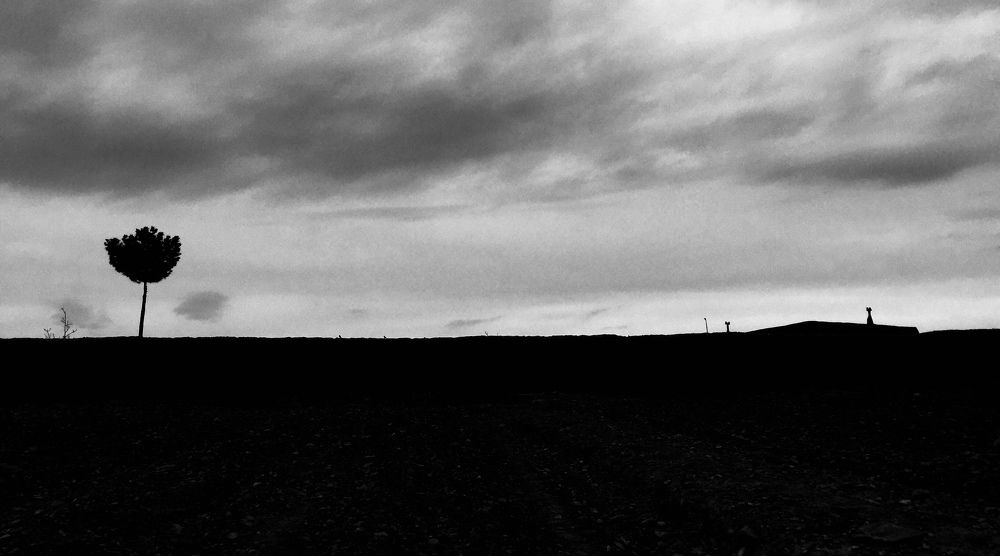 Фотография автора Elyas Iranmanesh