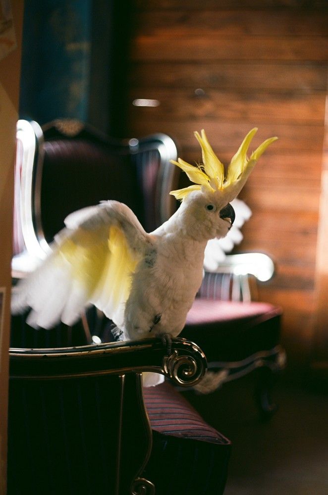 Photograph by Василий Селиванов